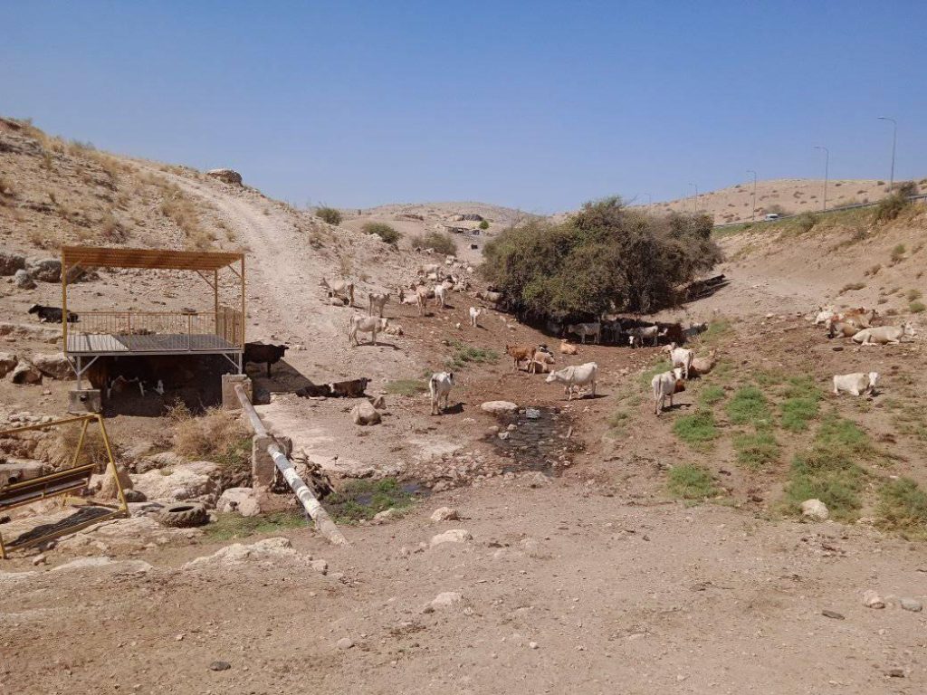 300 مواطن في مهب التهجير